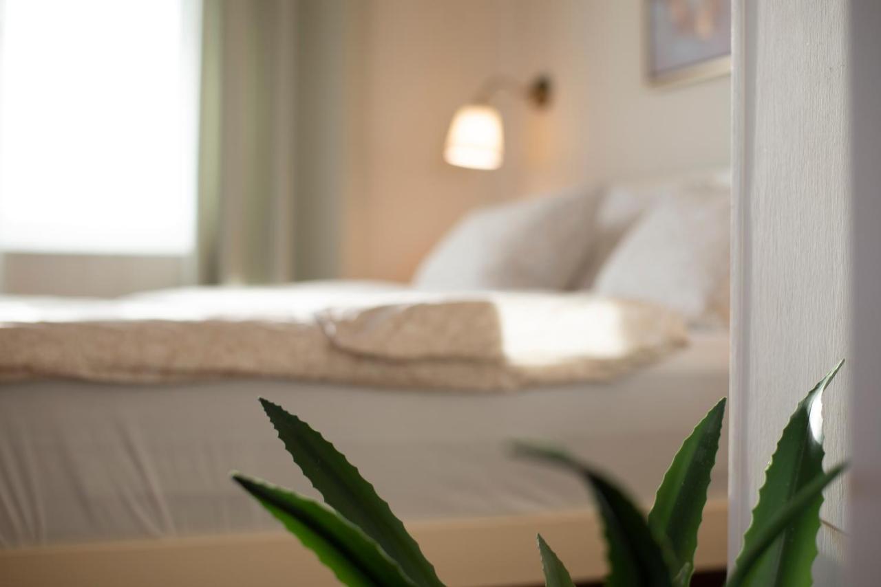 Guest House Blazevic Gornja Gracenica エクステリア 写真