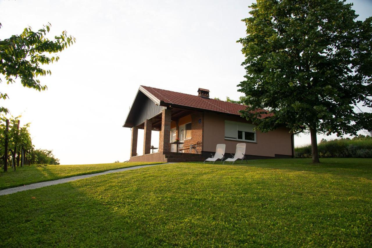Guest House Blazevic Gornja Gracenica エクステリア 写真