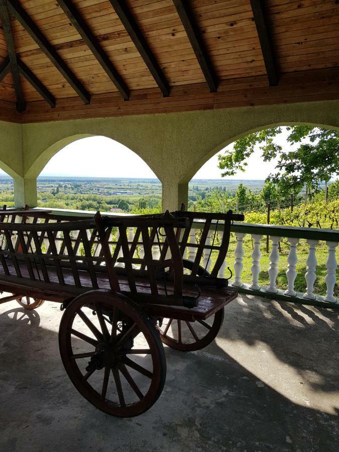 Guest House Blazevic Gornja Gracenica エクステリア 写真