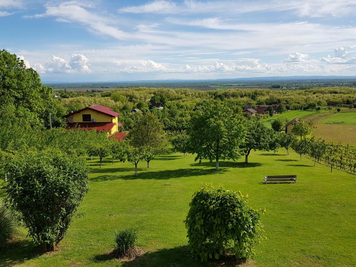 Guest House Blazevic Gornja Gracenica エクステリア 写真